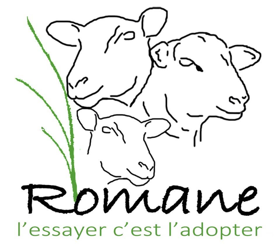 A La Romane LOGO couleurjpegolool - Le╠üa Dumont
