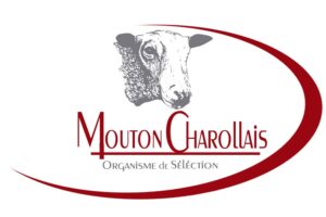 LOGO OS - OS Mouton Charollais