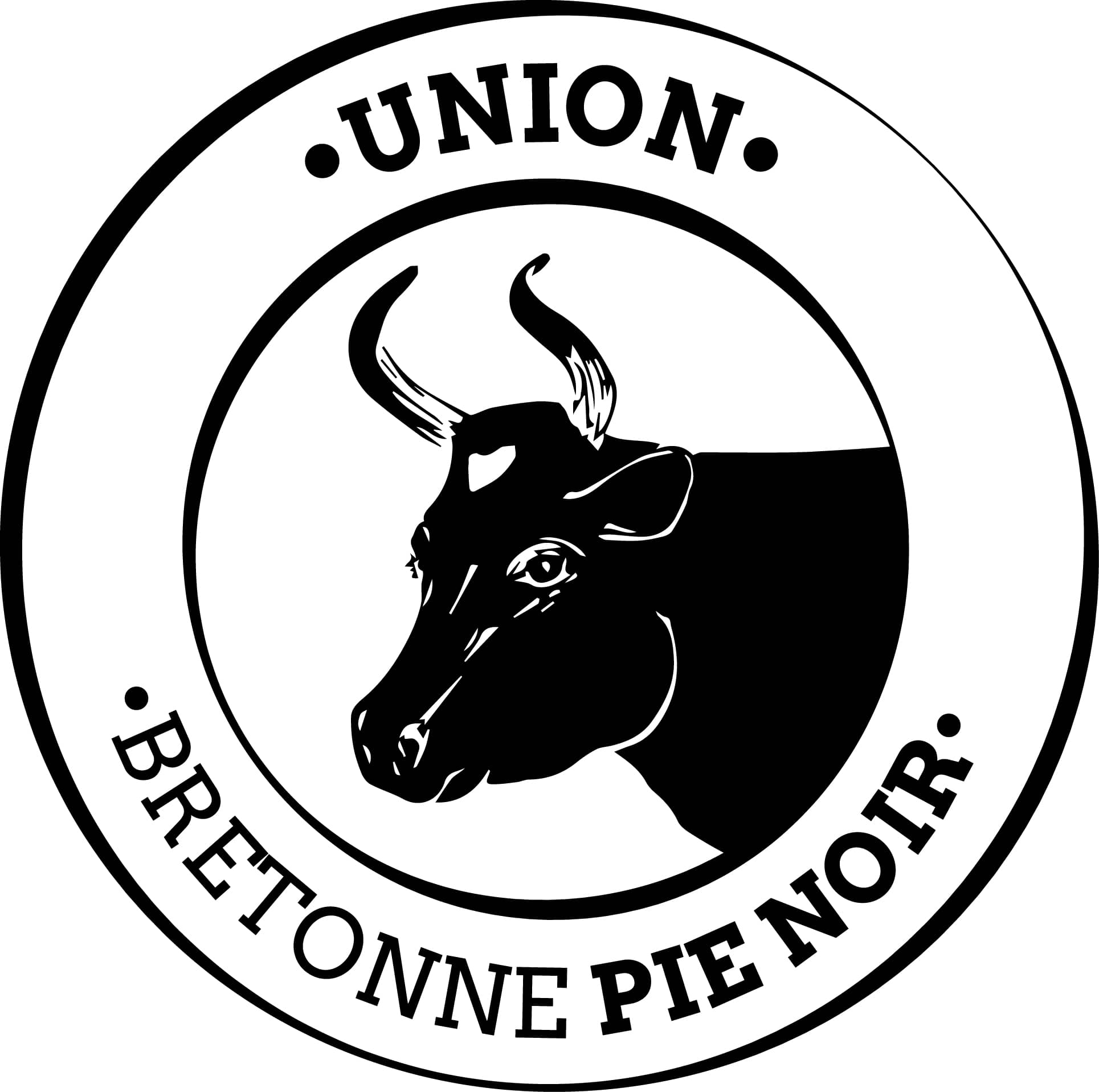 LOGO-UBPN-2017 - rim chaabouni