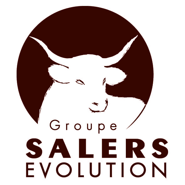 Logo_GSE - Groupe Salers Evolution