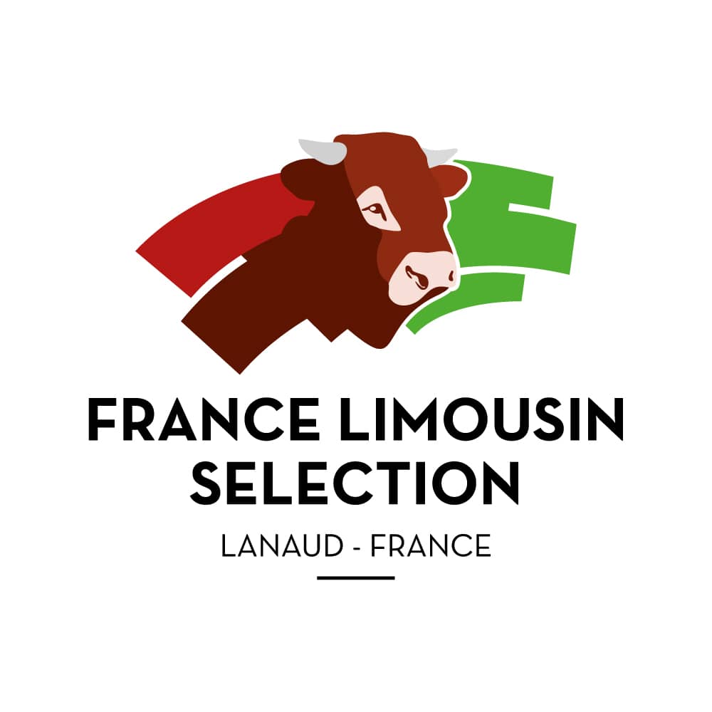 logo-FLS-2015 - ce╠ücile thiaudie╠Çre