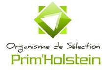 logo-internet-OS-Holstein