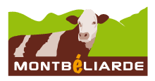 logo-os
