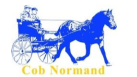 Logo - Cob Normand - Margaux BERANGER