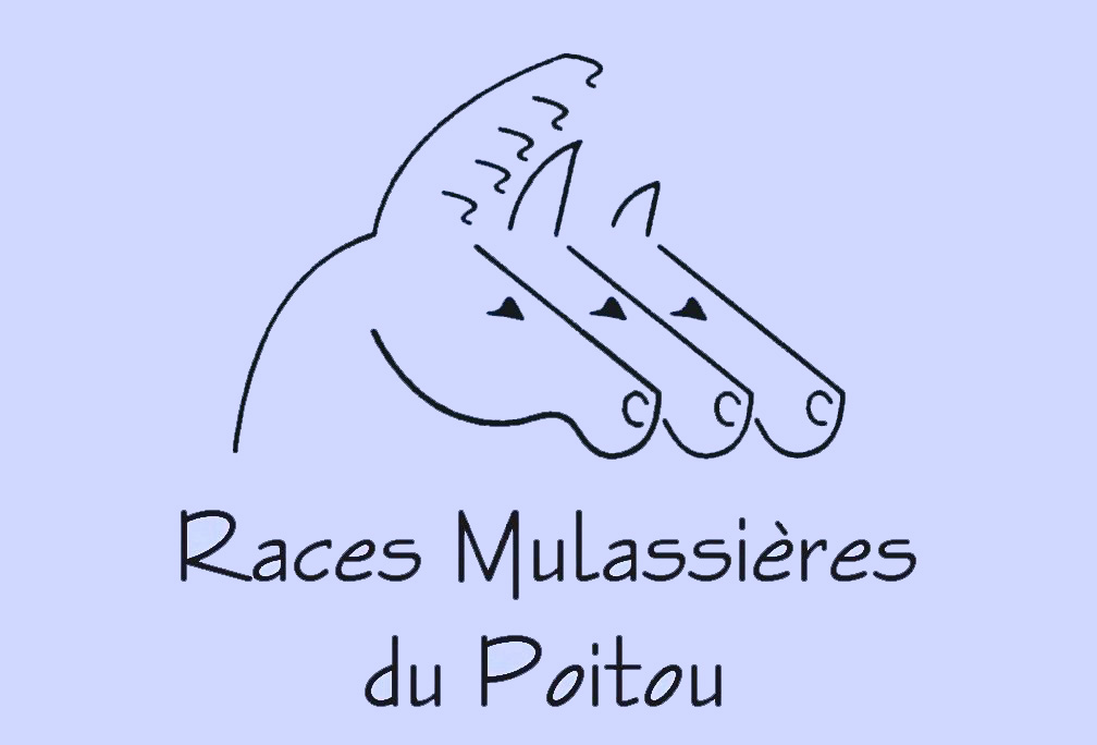 Logo - Mulassier du Poitou - Cle╠ümentine Bonnin