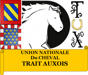 Logo - Trait Auxois - Margaux BERANGER