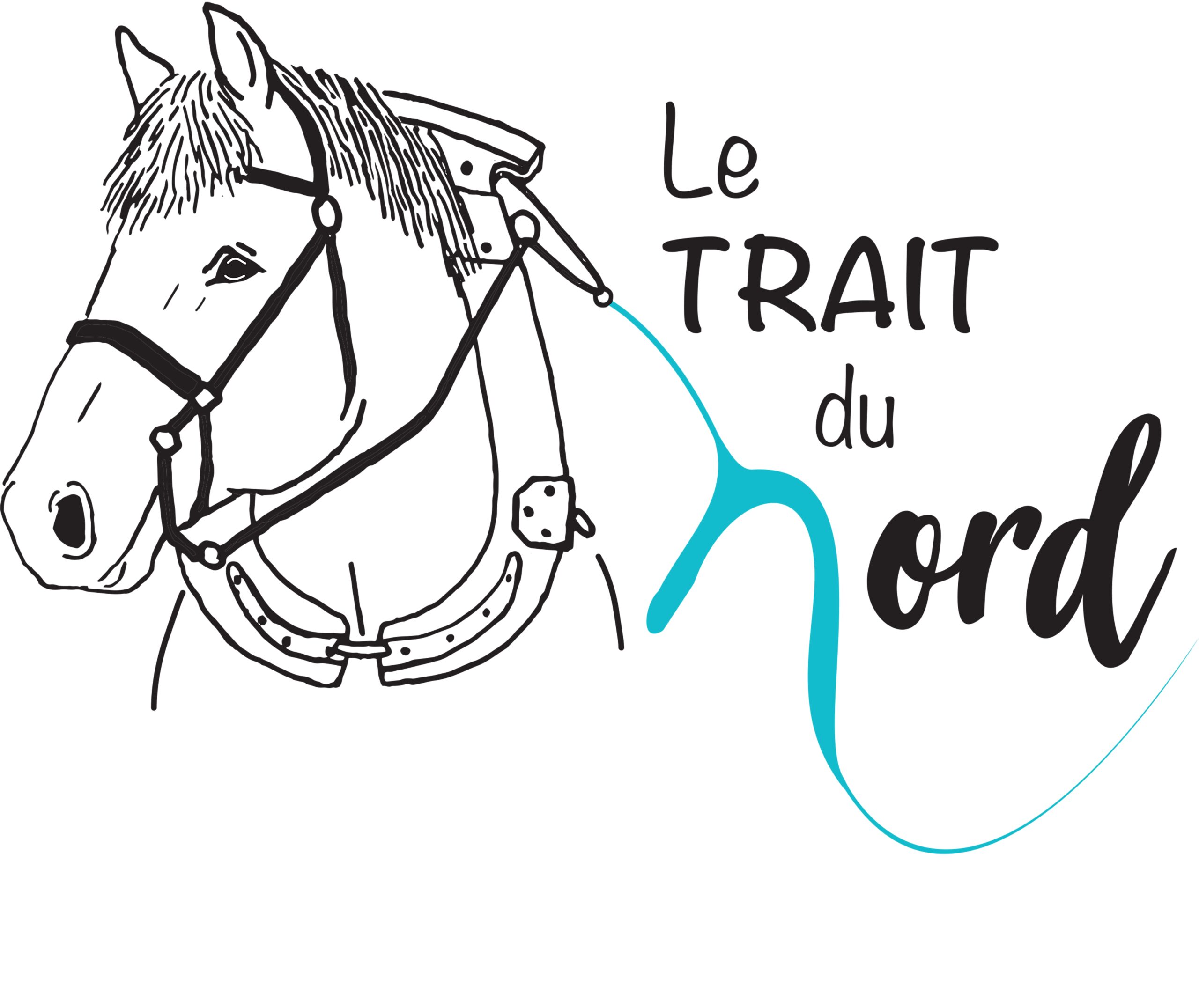 Logo - Trait du Nord - Cle╠ümentine Bonnin-min