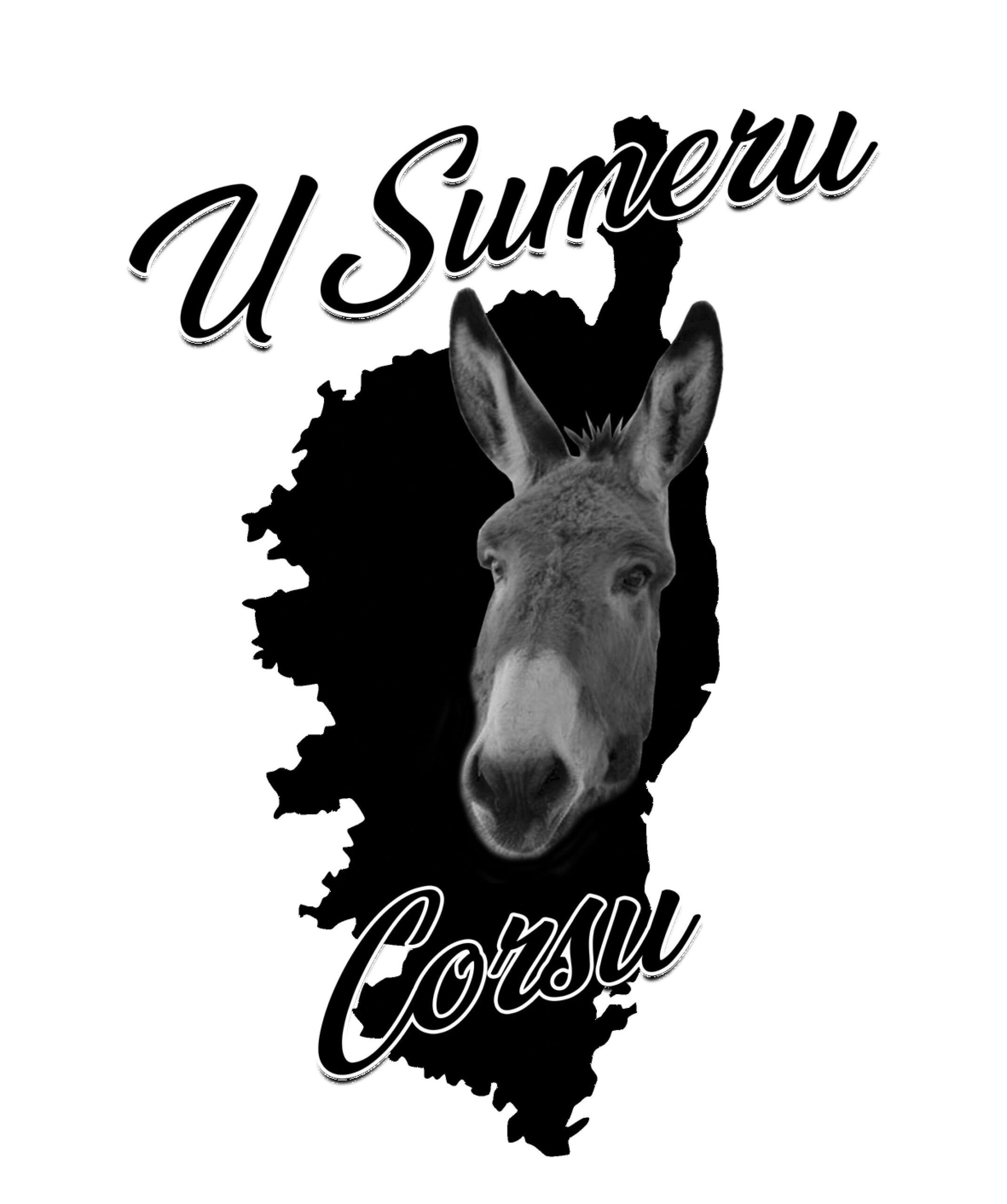 Logo - U sumeru Corsu - Cle╠ümentine Bonnin