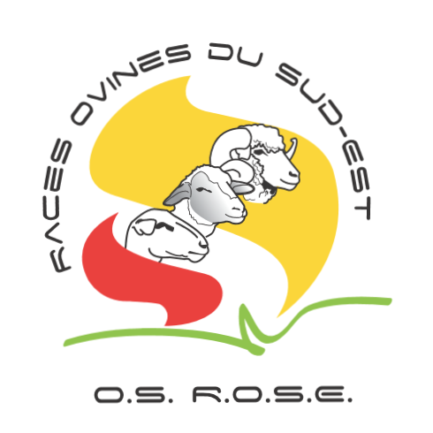 OS ROSE - OS ROSE
