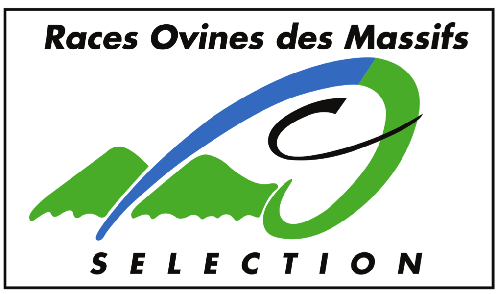 ROM selection logo