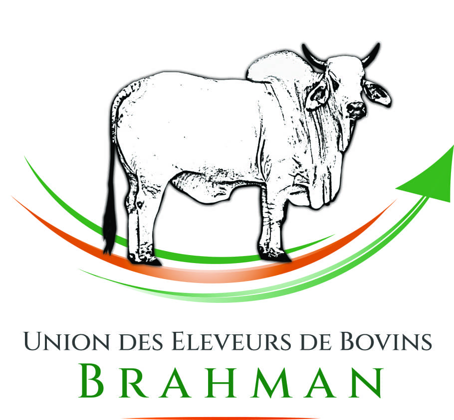 logo_UEBB_impression - Brahman Martinique