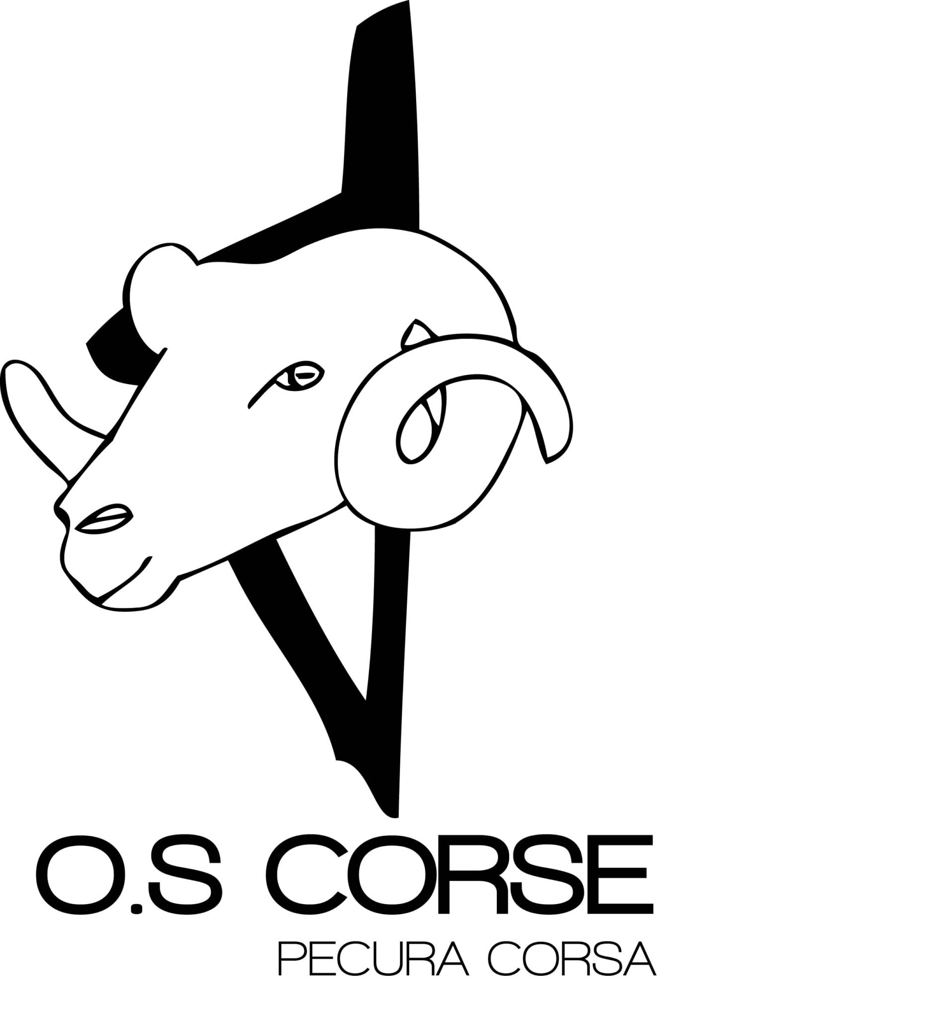 os corse - Bastien QUAGLIETTI