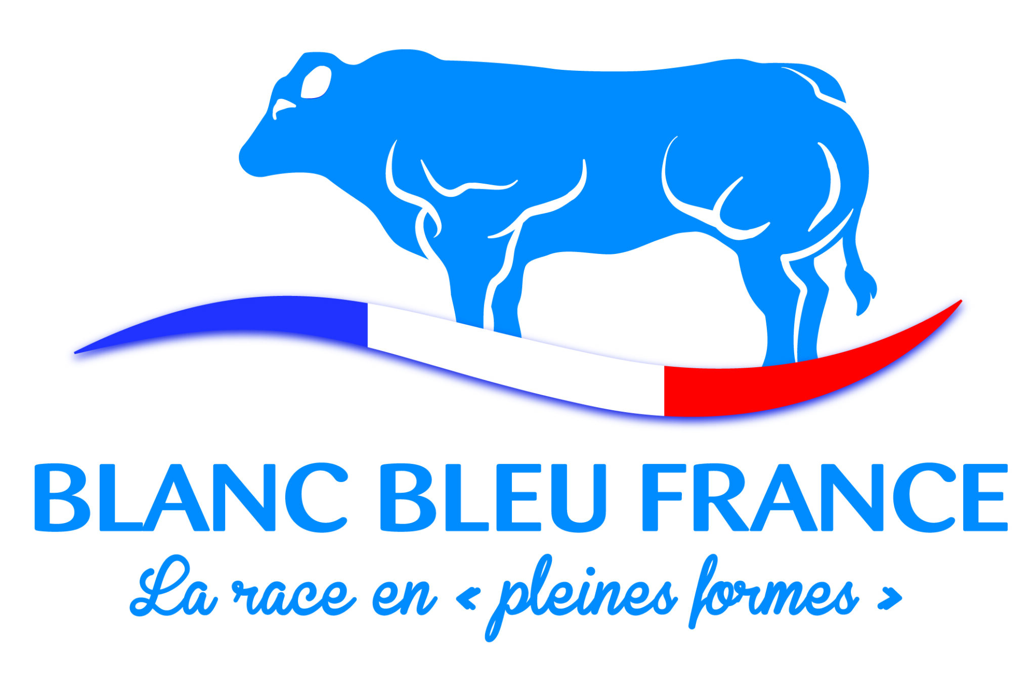 LOGO BLANC BLEU FRANCE OK