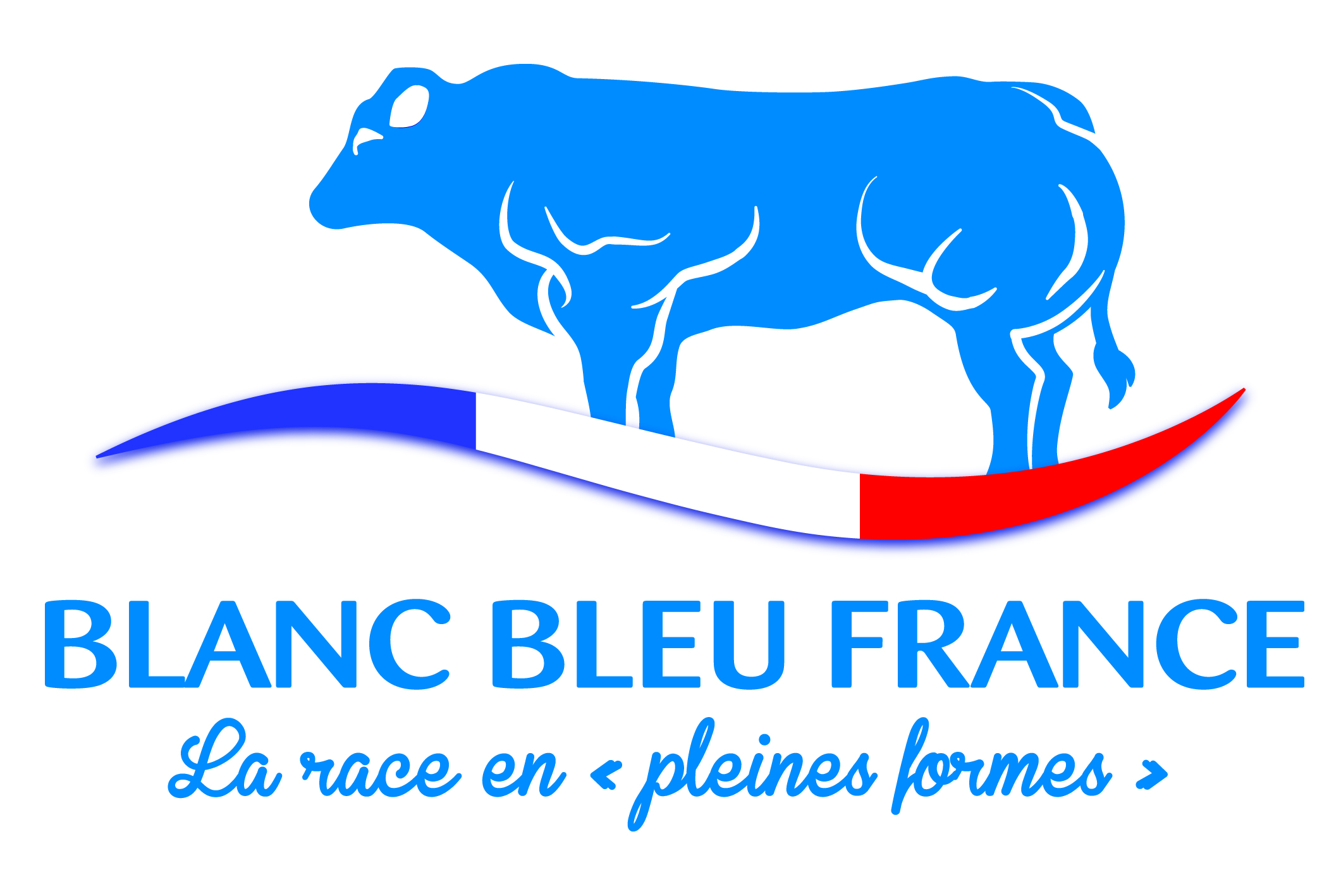 LOGO BLANC BLEU FRANCE OK
