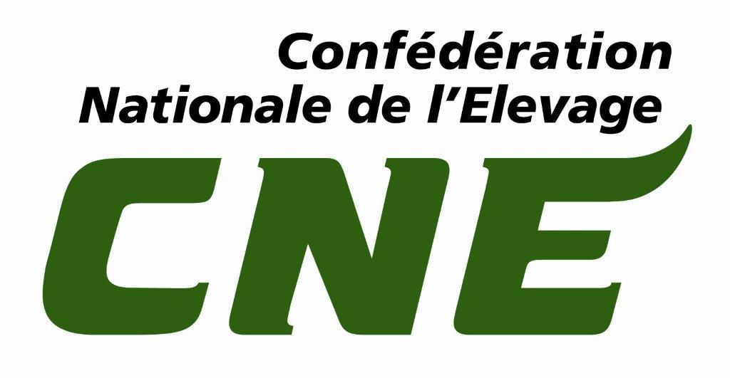 logo-CNE